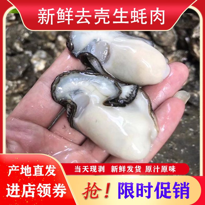 生蚝肉鲜活现剥冷冻野生水产牡蛎新鲜海鲜海蛎子去壳生蚝肉蛎蝗