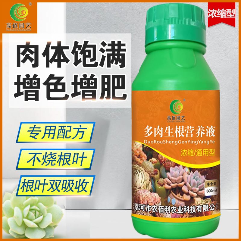 fd75b906-22ab-4d02-a3b3-15c7c9a39b08.jpg