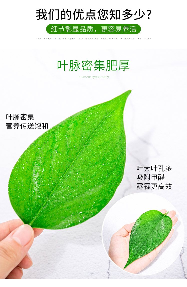 128ccd2b-fe1f-42bc-be14-a4d757c21f92.jpg