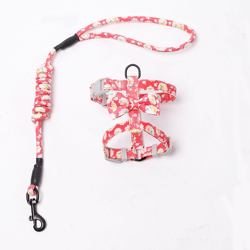 如何用绳子做猫咪的牵引绳 2138f9b0-818d-4ae8-8e94-174929ad651b.jpg