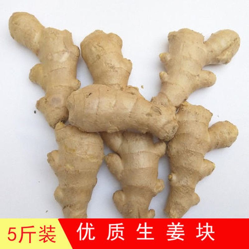 2b4be148-c67a-470f-9745-42f66aca8679.jpg