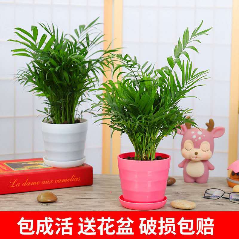 70da0b5b-79ce-491f-b47b-c55b8fe50cdf.jpg