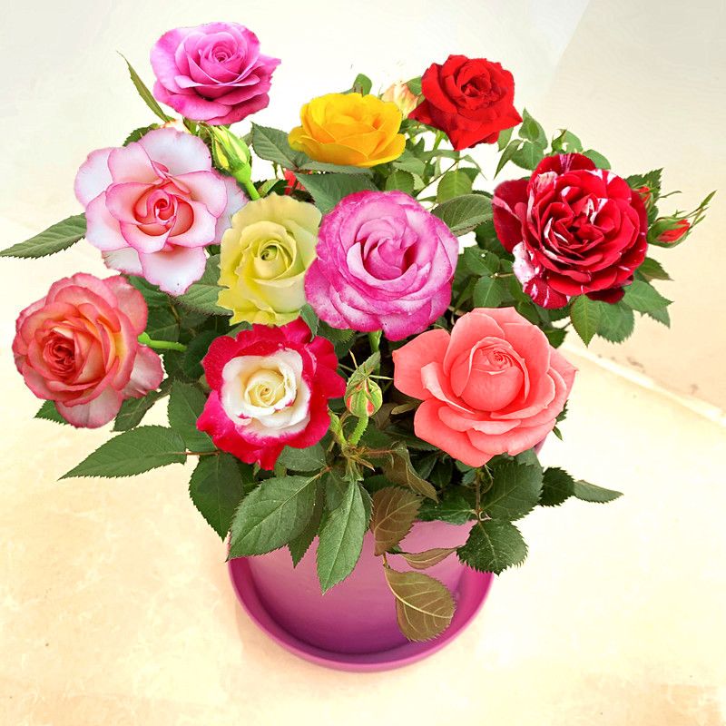 830d26fd-6fd0-48f7-96f2-efca42c100e2.jpg