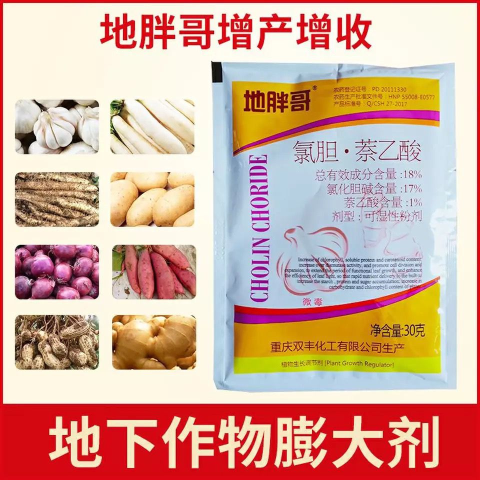 地胖哥小胖墩氯胆萘乙酸三七白术山药莴笋大姜大蒜地下作物膨大素
