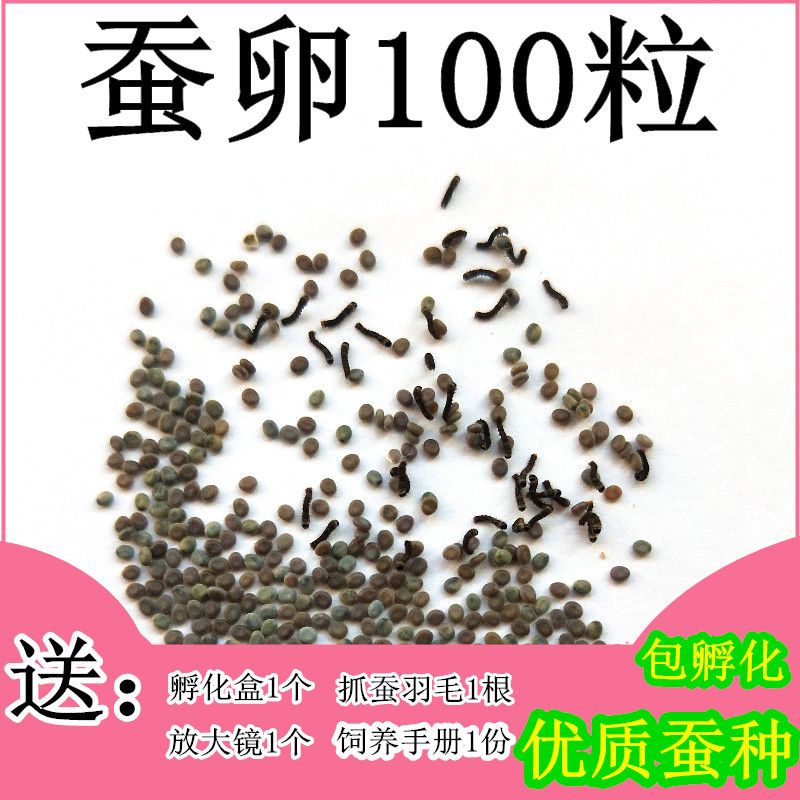 f9ab3a59-3072-44ed-a7ec-aeb25261dd2b.jpg