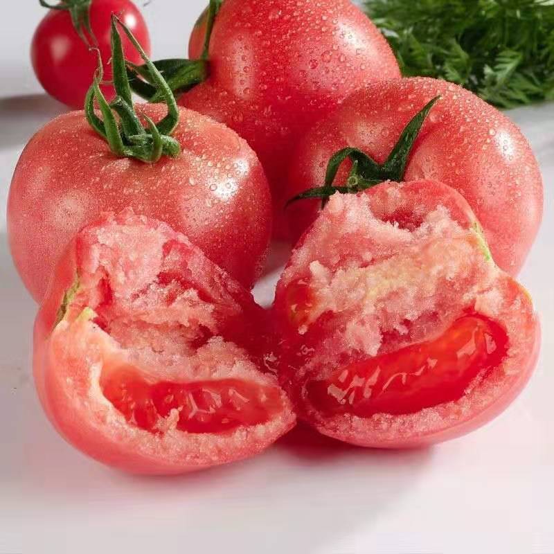 可以当水果吃，赞菓知 沙瓤普罗旺斯西红柿 3斤