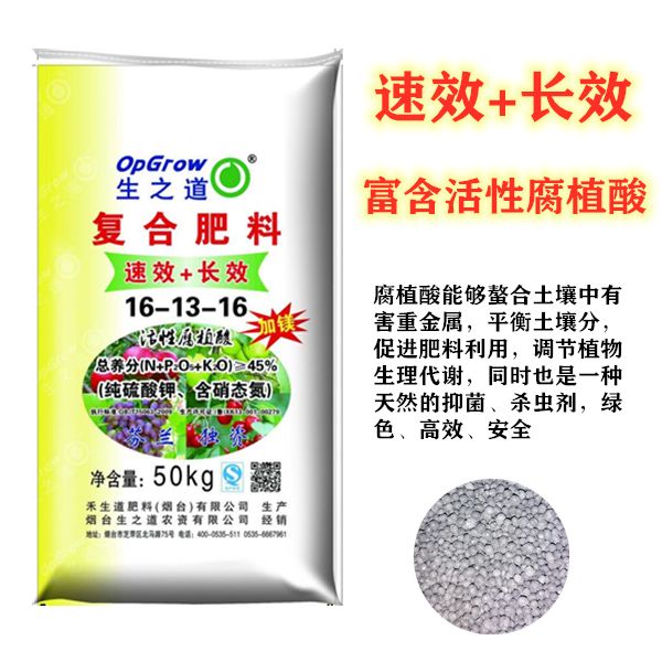 5b8ca9d3-4aca-48de-84fa-f048dfd0a10e.jpg