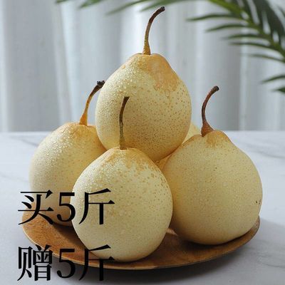 76128/正宗河北鸭梨大鸭子梨皮薄多汁雪梨母梨子新鲜白梨水晶梨应季水果