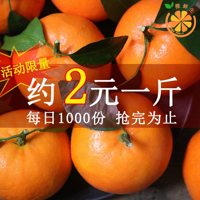 f11c7f56-f839-4dfd-8f3e-2748ca2a4e74.jpg
