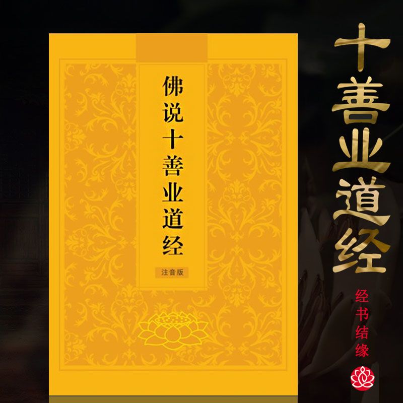 佛说十善业道经简体注音版诵读本佛教拼版佛经简体经书结缘