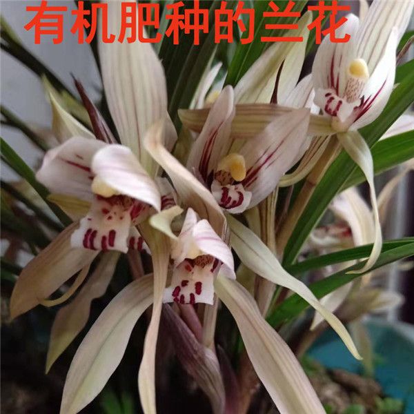 2b2dd581-5dae-4e83-bc14-8586893b06fc.jpg