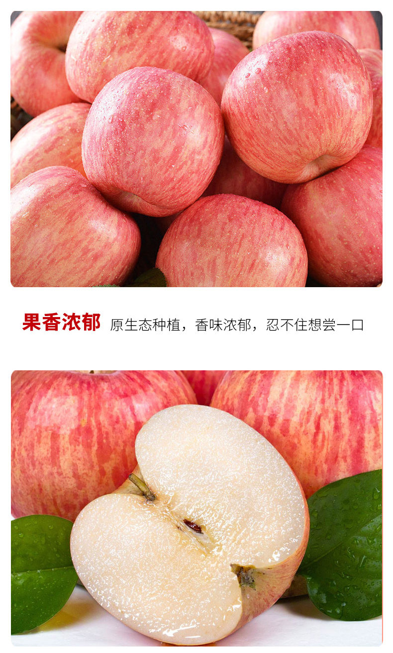 新鲜山东烟台栖霞红富士一级大苹果香脆甜多汁应季水果生鲜不打蜡