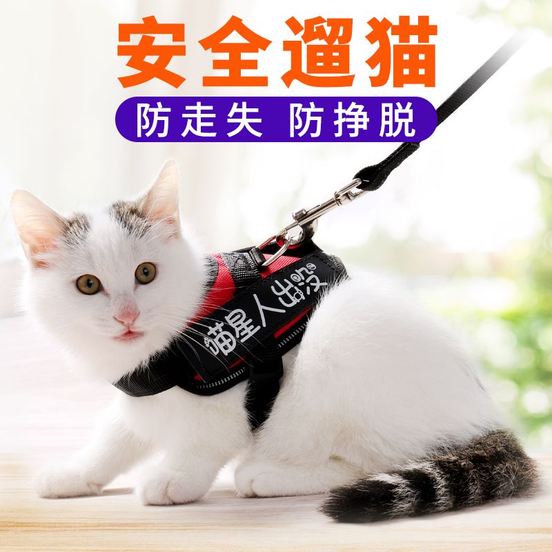 Cat's traction rope cat's rope cat's special vest type anti break free cat chain cat's rope collar cat supplies