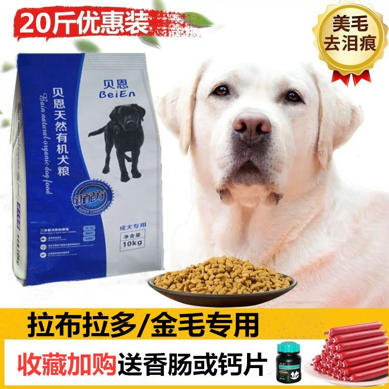 ce864c22-f56e-4a87-99d2-fdd259c5a1ff.jpg