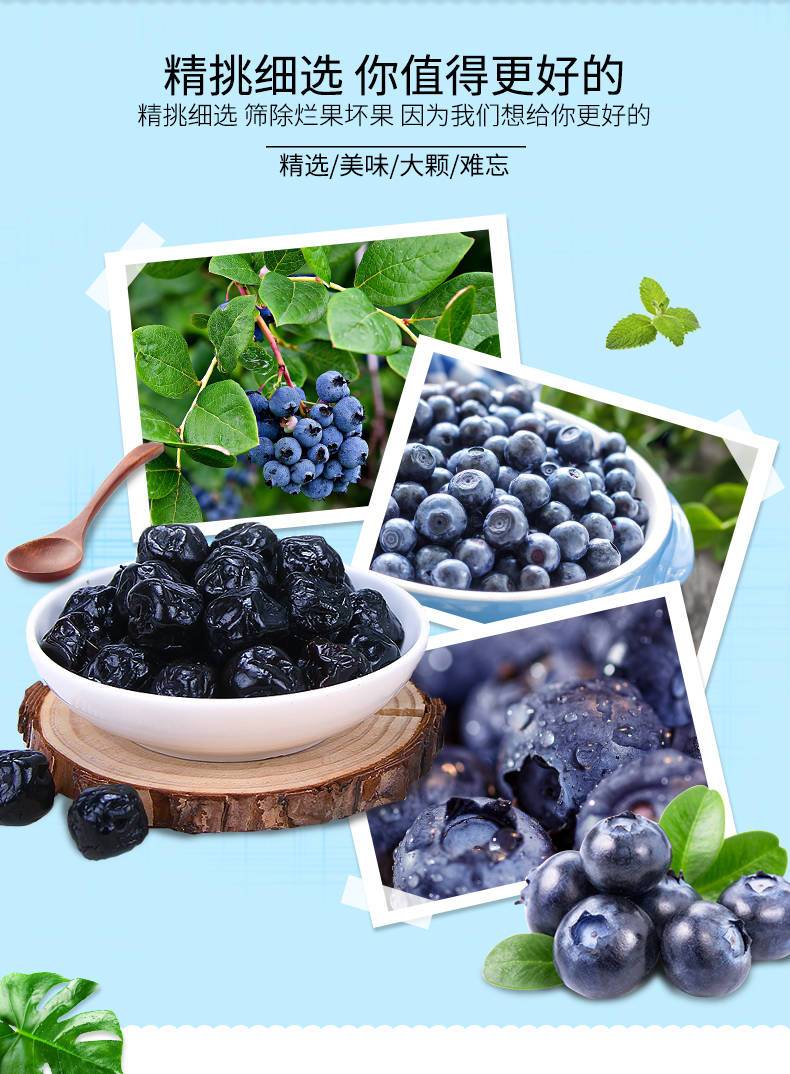 伊犁蓝莓李果500g新疆特产火车同款蓝莓干蜜饯果脯