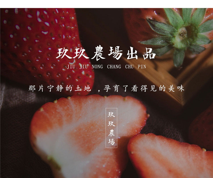  正宗丹东99草莓新鲜东港红颜九九草莓整箱当季水果新鲜草莓空运