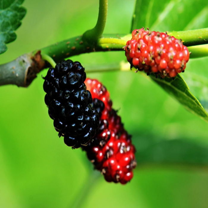 6a0715bc-65a6-468c-9e41-634843f2455f.png