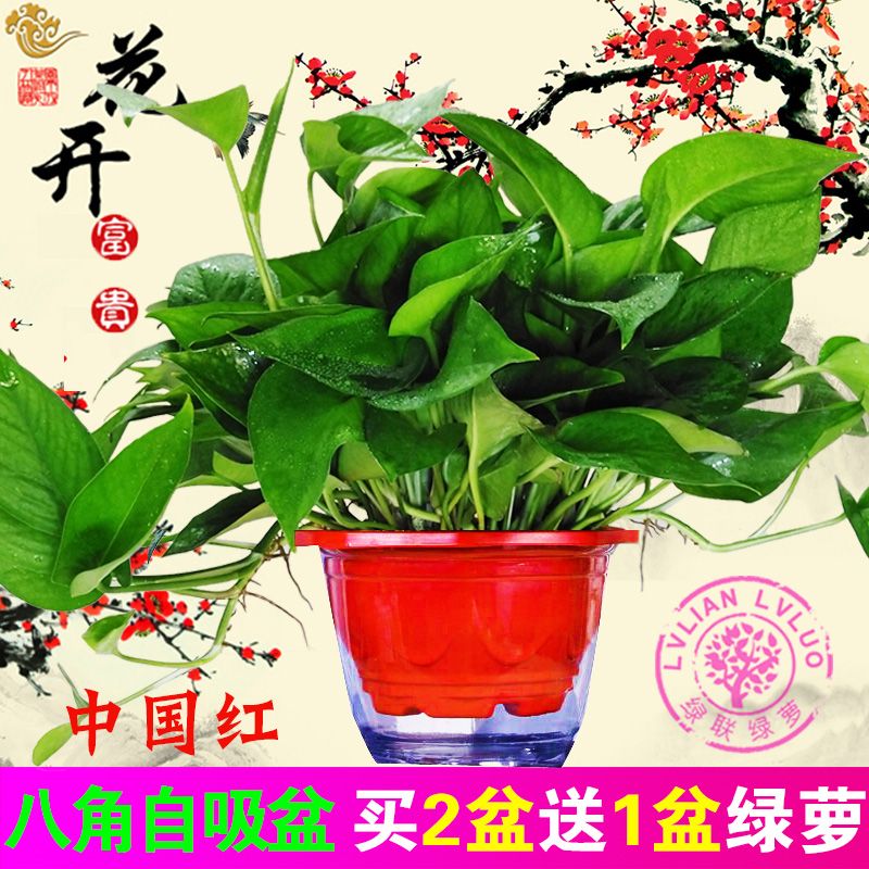 95c6334b-85ec-4055-adb0-672c7c1bc850.jpg