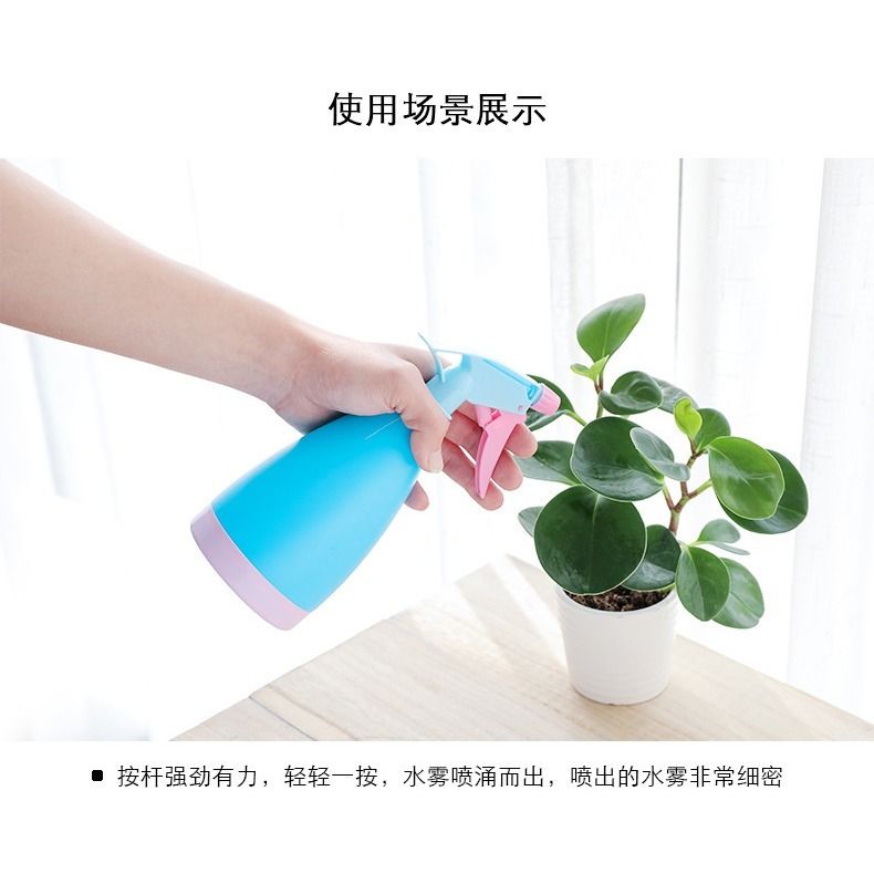 9717b10c-11c8-464a-8266-7f4efc14a1ab.jpg
