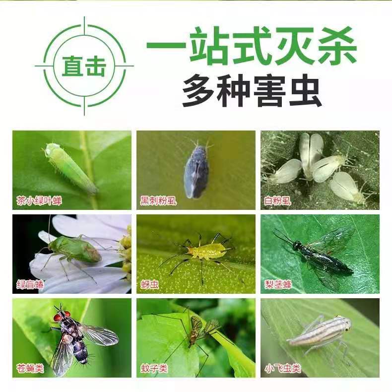 41fe890d-b2de-4ad5-8023-4c31817d0118.jpg