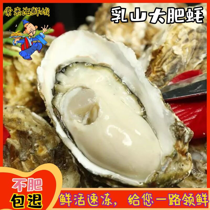 乳山生蚝鲜活一箱即食特大牡蛎新鲜带壳海蛎子海鲜水产蒜蓉生蚝