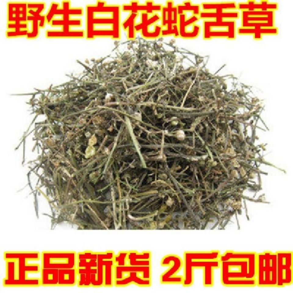 中药材 白花蛇舌草 白花蛇草  另售半枝莲 500克100克试用包邮