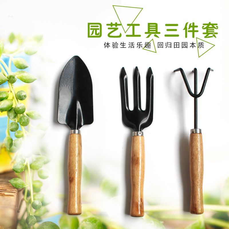 c148f2ec-cb6e-465d-a820-f62a587d2763.jpg