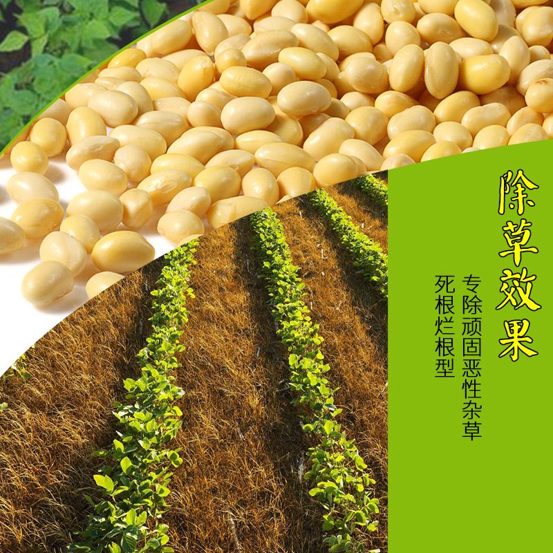 c890166b-5957-4419-8ef4-6e95d045c19a.jpg