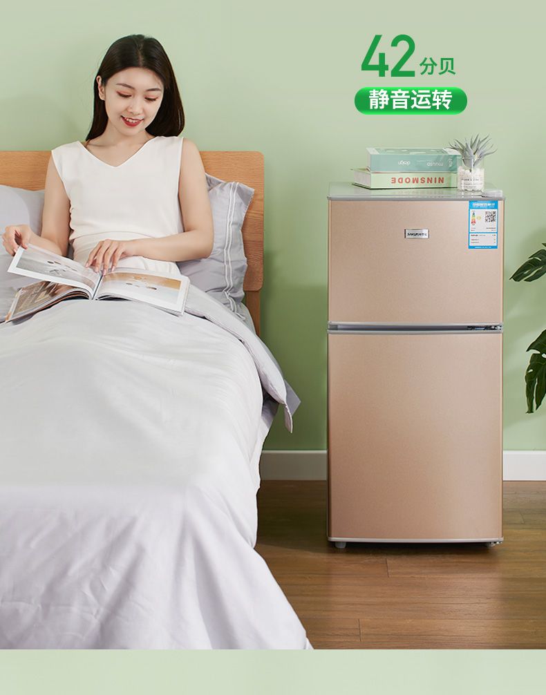 【家用迷你租房宿舍大容量】节能小型冰箱可冷冻冷藏双三门电冰箱