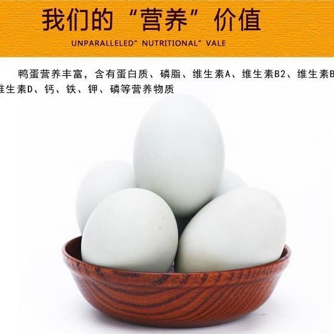 海鸭蛋是什么鸭蛋 91370857-1629-4a44-bd1f-4385d561b8e6.jpg