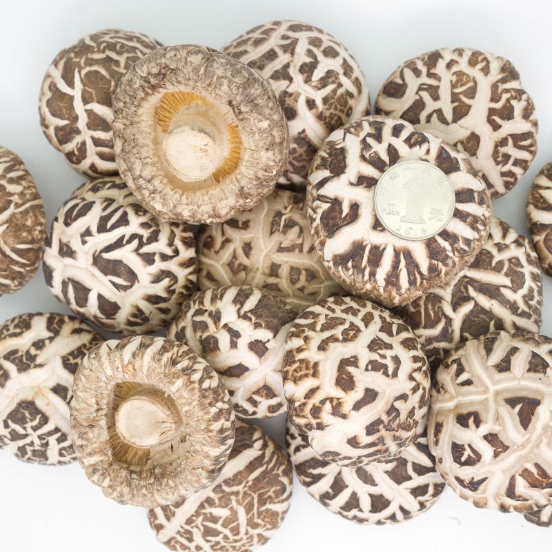 菌上皇随州花菇500g一斤特级精选香菇冬磨菇土特产干货150g/250g