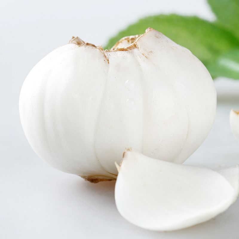 新鲜现挖兰州百合食用甜百合农家生百合1斤/2斤/3斤/4斤单包250g