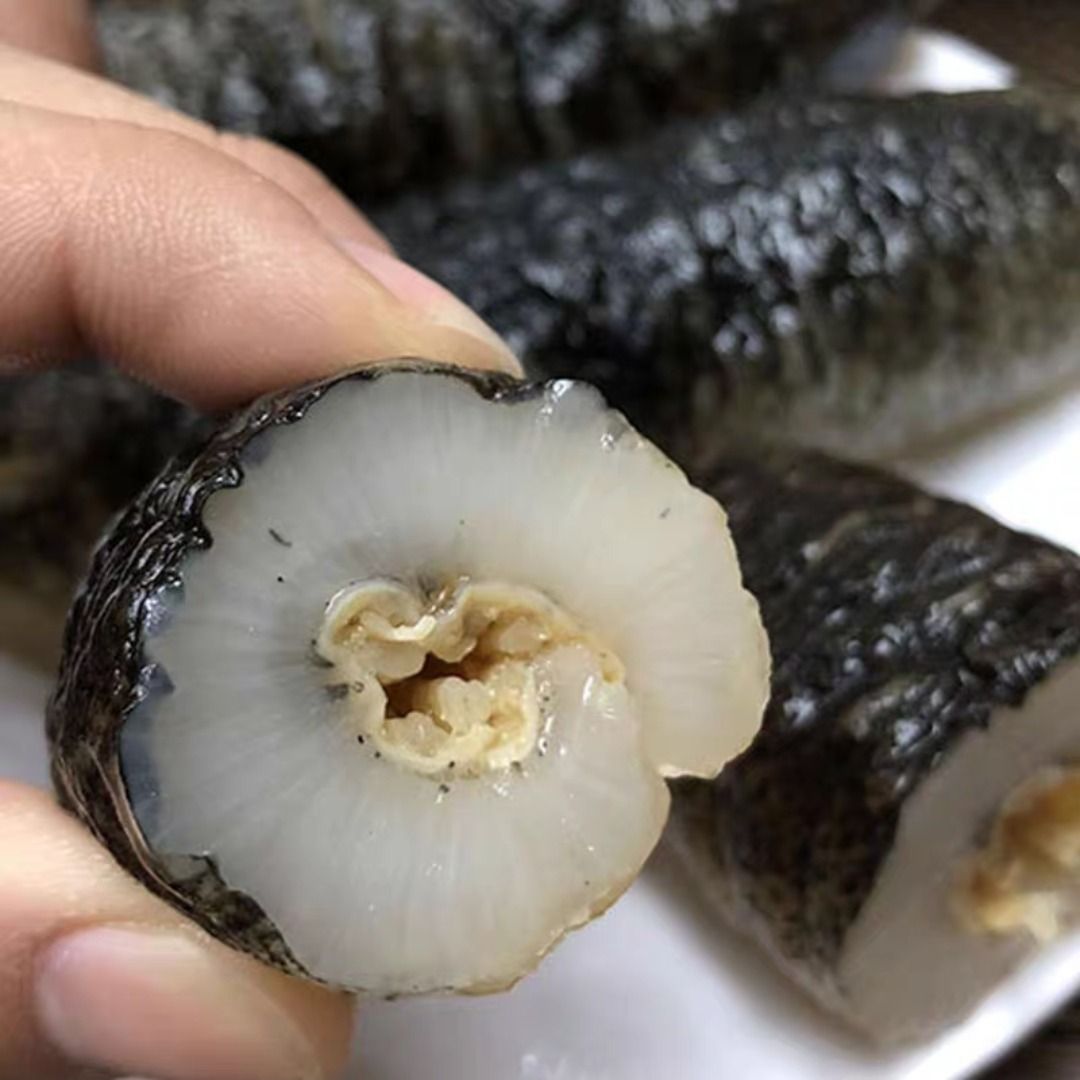 天然海参干货澳洲明秃参野生海参非辽参天然淡干海参100克包邮