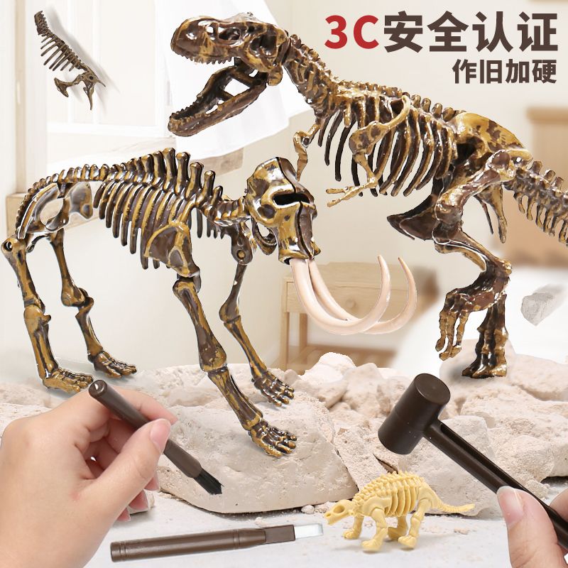 儿童恐龙化石霸王龙骨架 手工diy制作拼装模型男孩考古挖掘玩具