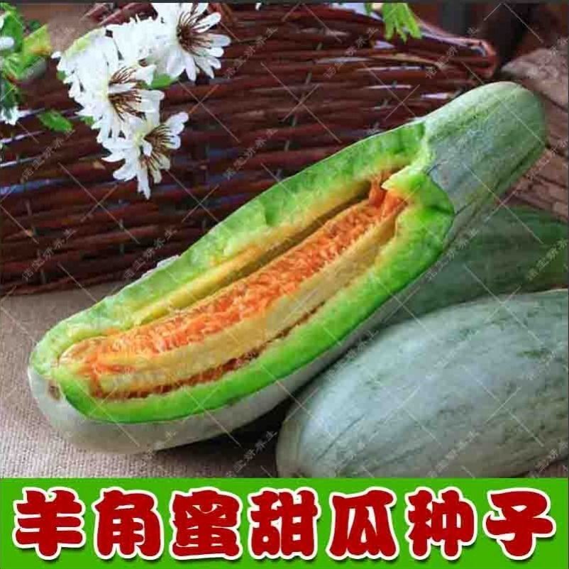 高产羊角蜜甜瓜种子羊角脆酥四季甜香瓜种籽脆甜正品蔬菜水果种子
