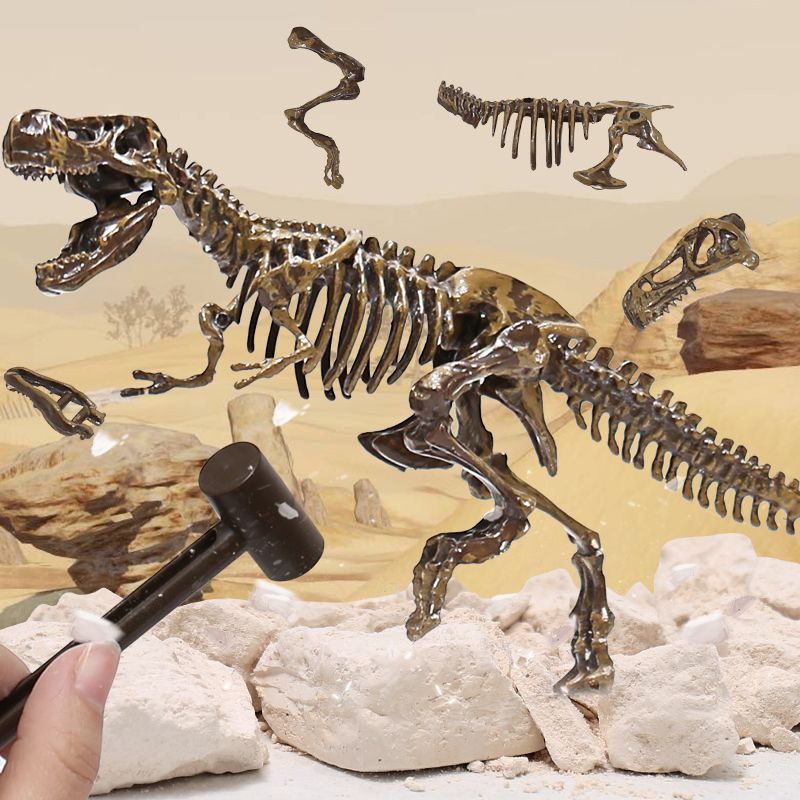 儿童恐龙化石霸王龙骨架 手工diy制作拼装模型男孩考古挖掘玩具