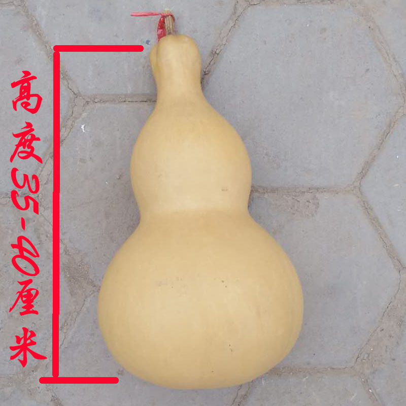 爆款特价葫芦清仓处理特大葫芦练习烙画葫芦