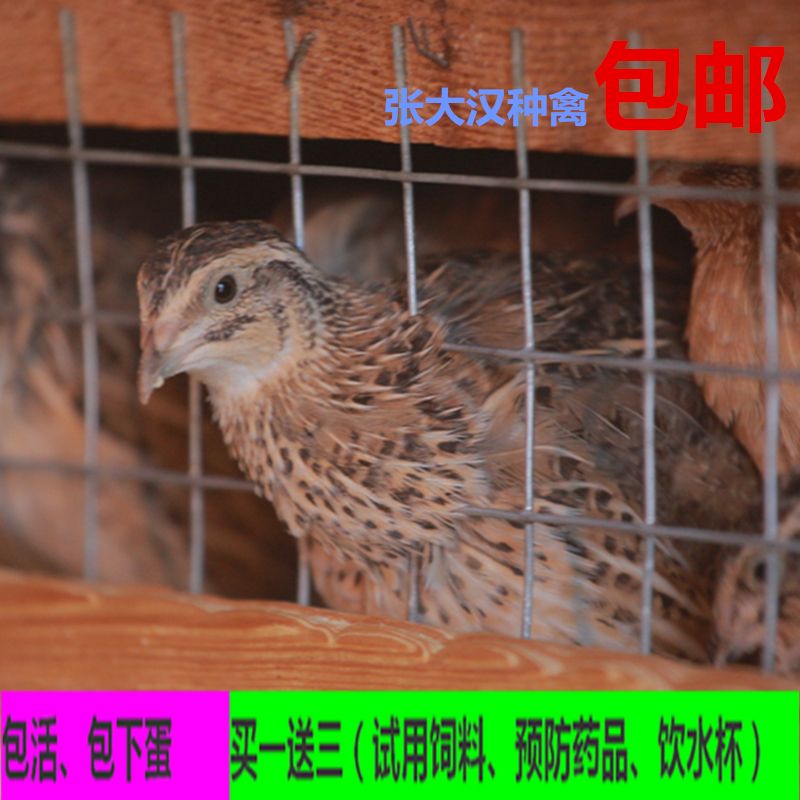4d8a3bf3-22db-4c88-a5de-fb53e00dbead.jpg
