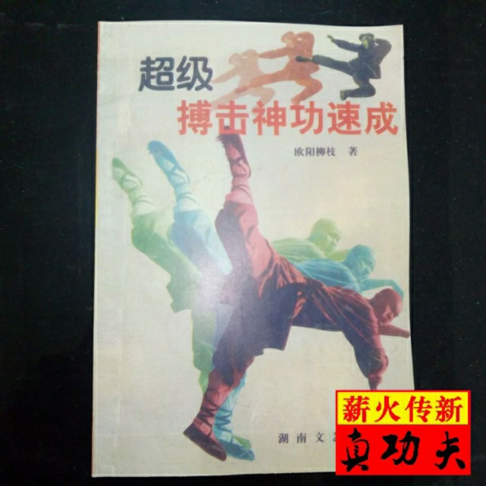 欧阳柳枝 超级搏击神功速成 内丹功内劲功硬气功