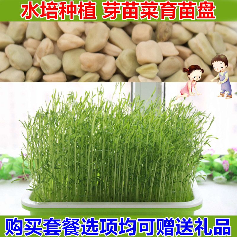 2fca6548-c951-467f-87a4-48411bedb6fe.jpg
