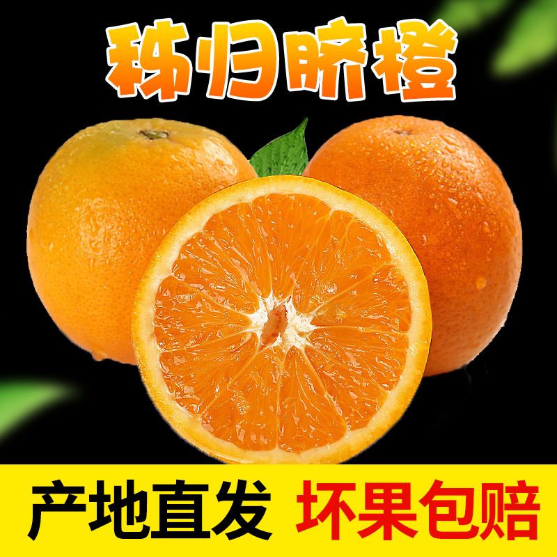 97051612-b7dd-4ce9-947f-96cf44c0694c.jpg