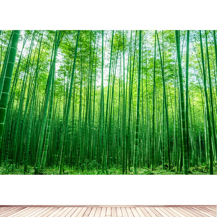 竹林 竹子 自然风景画绿色护眼墙贴树林客厅卧室装饰壁画竹报平安