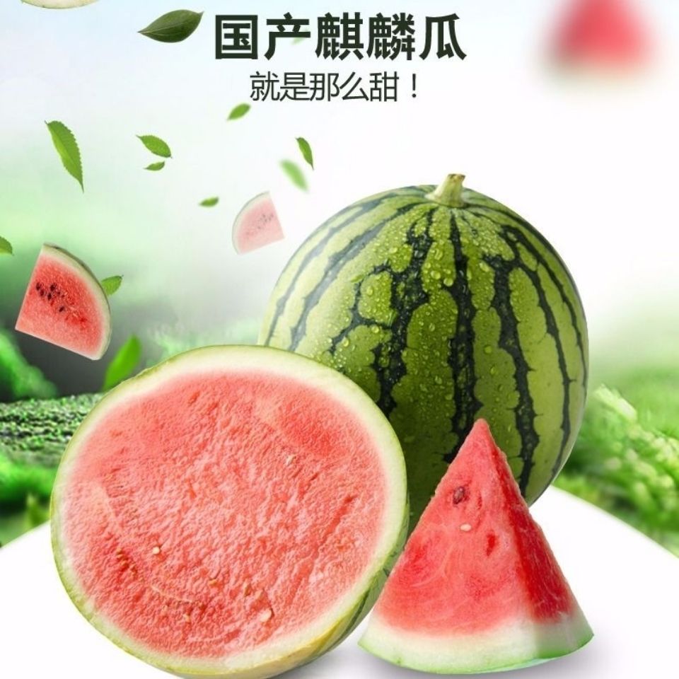 9912639f-cf5b-46f9-b5f3-8d4f034d06e6.jpg
