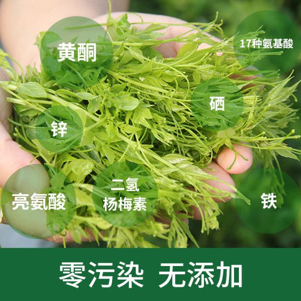 莓茶張家界永順莓茶恩施莓茶芽尖大山來鳳藤茶黴茶特級長壽養生茶拼團