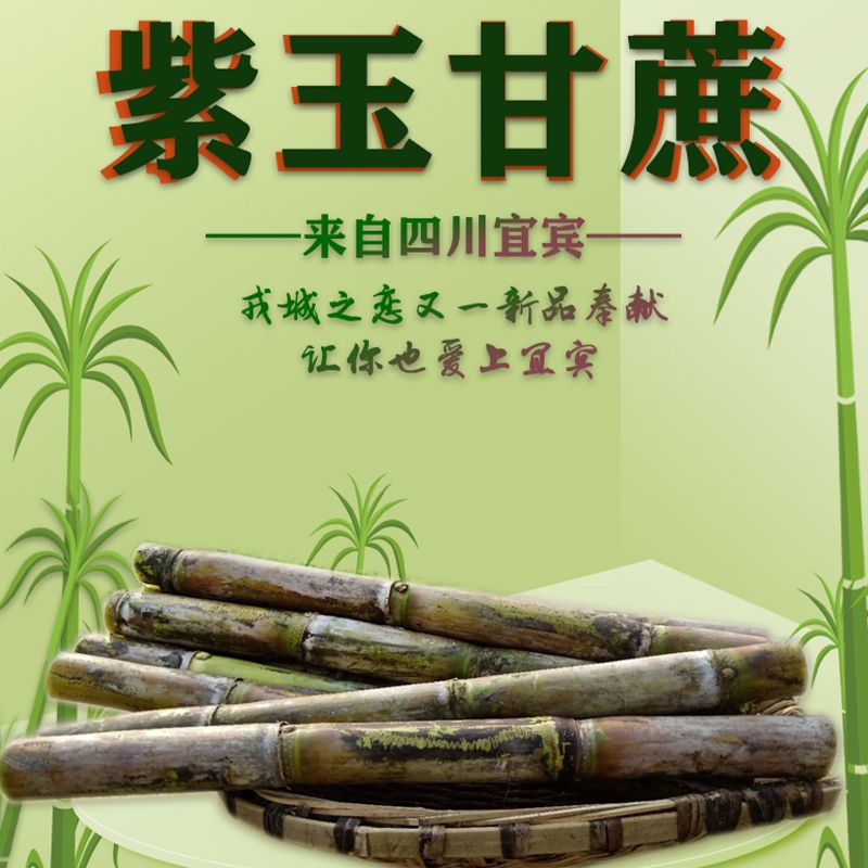 1f9d37e3-5d17-4351-ba5c-e9c31c20d352.jpg
