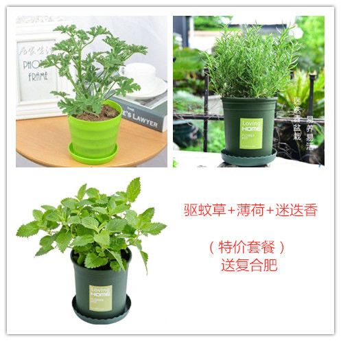 b5f16a2d-cdb4-4837-be40-e045c5b997ba.jpg