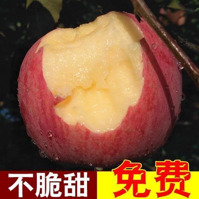 順豐包郵煙臺蘋果棲霞紅富士 新鮮水果條紋果產地直髮淨果10斤