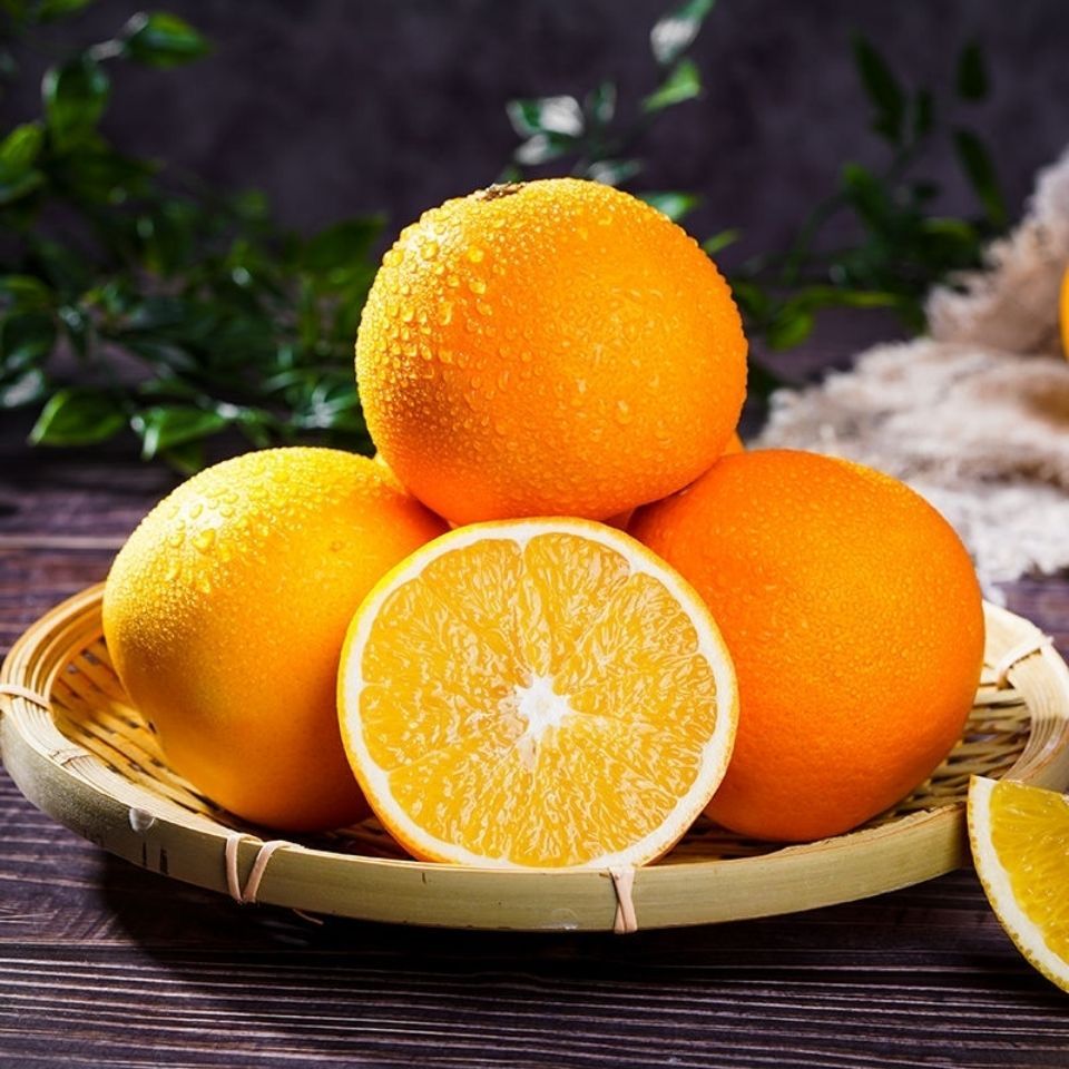 【特价5斤】桂林高山脐橙新鲜橙子水果鲜果橙手剥脐橙孕妇水果