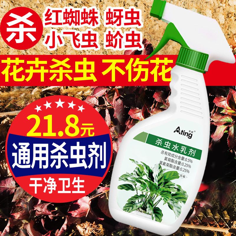 杀虫剂花卉植物通用家用花草月季蚜虫蚧壳虫小黑飞红蜘蛛花虫药