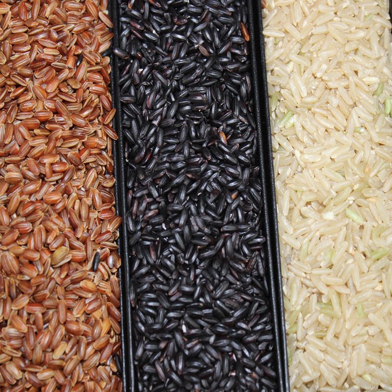 Three color brown rice 1-5 Jin five grain coarse rice instead of meal brown rice reducing body fat coarse grain germ rice northeast brown rice